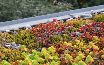 the cost of Lower Broadheath green roof installation