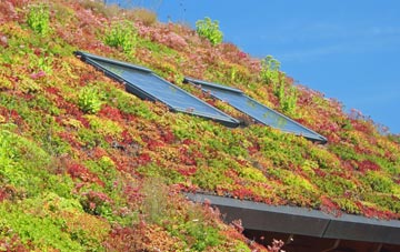 Lower Broadheath living roof systems