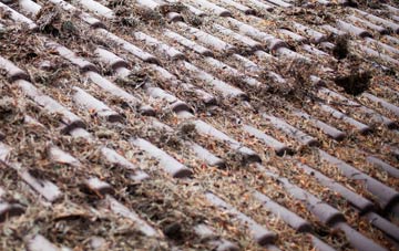 Lower Broadheath roof cleaning companies